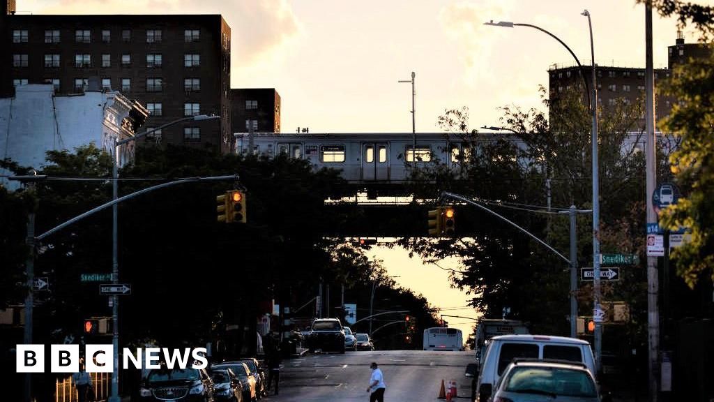 A bystander shot himself in the head as New York police tackle the evader